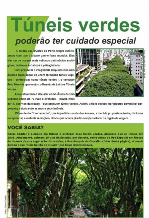 Túneis verdes em debate