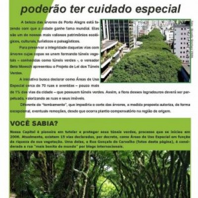 Túneis verdes em debate