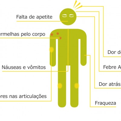 Dengue: A informação é a melhor proteção para o turista.
