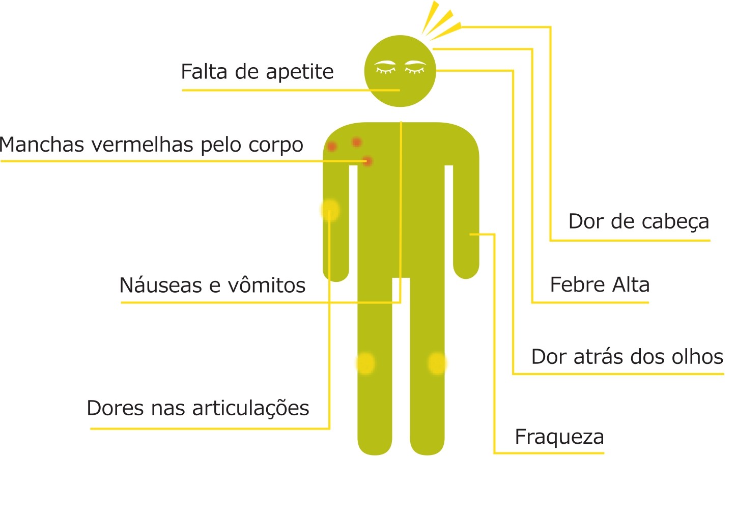 Dengue: A informação é a melhor proteção para o turista.
