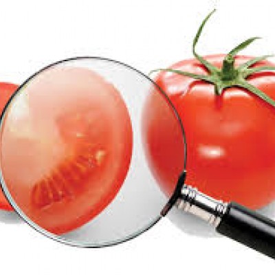 Cuidados na manipulação de alimentos é tema de curso promovido pelo Sindha.