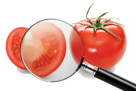 Cuidados na manipulação de alimentos é tema de curso promovido pelo Sindha.